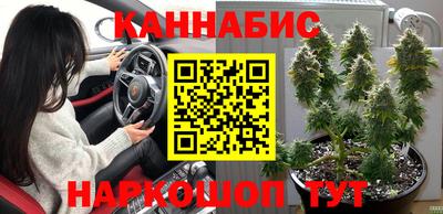 стаф Коммунар